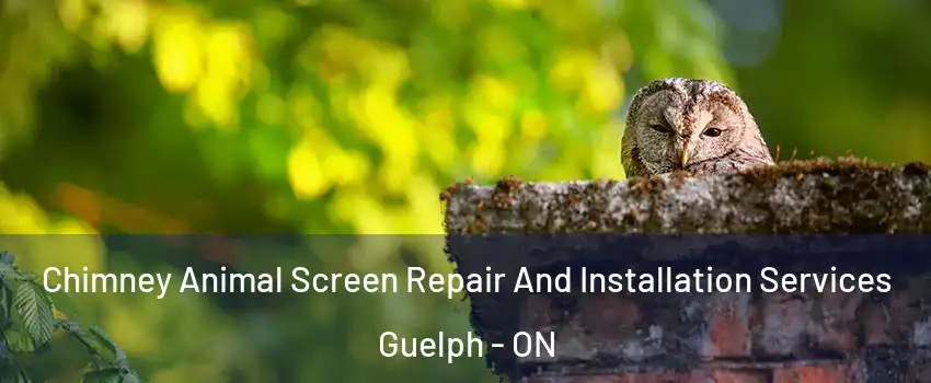  Chimney Animal Screen Repair And Installation Services Guelph - ON