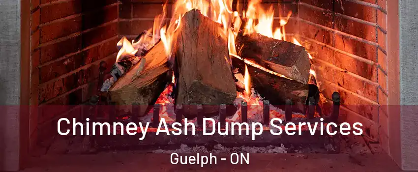  Chimney Ash Dump Services Guelph - ON