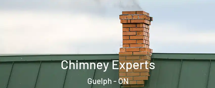  Chimney Experts Guelph - ON