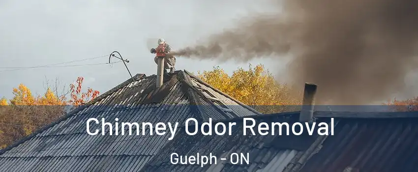  Chimney Odor Removal Guelph - ON