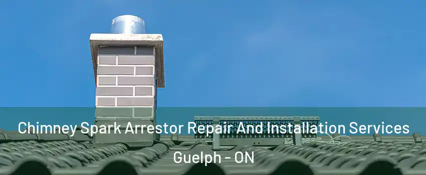  Chimney Spark Arrestor Repair And Installation Services Guelph - ON