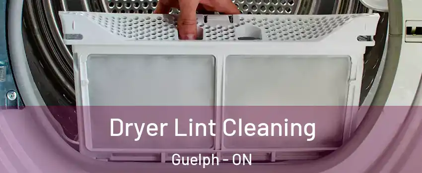  Dryer Lint Cleaning Guelph - ON