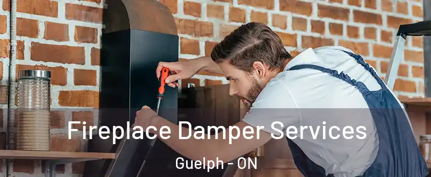  Fireplace Damper Services Guelph - ON