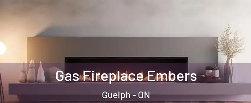  Gas Fireplace Embers Guelph - ON