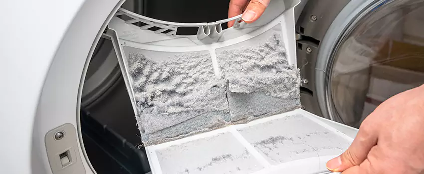 Best Dryer Lint Removal Company in Guelph, Ontario