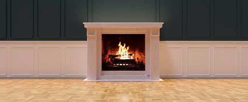 Napoleon Electric Fireplaces Inspection Service in Guelph, Ontario