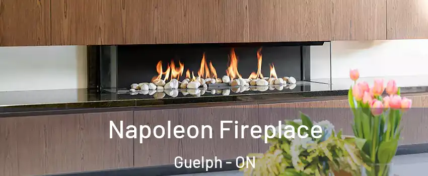  Napoleon Fireplace Guelph - ON