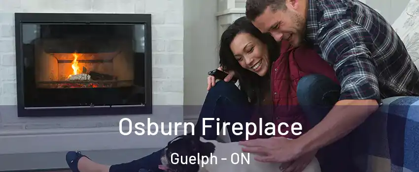  Osburn Fireplace Guelph - ON