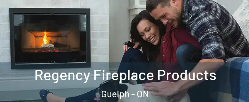  Regency Fireplace Products Guelph - ON